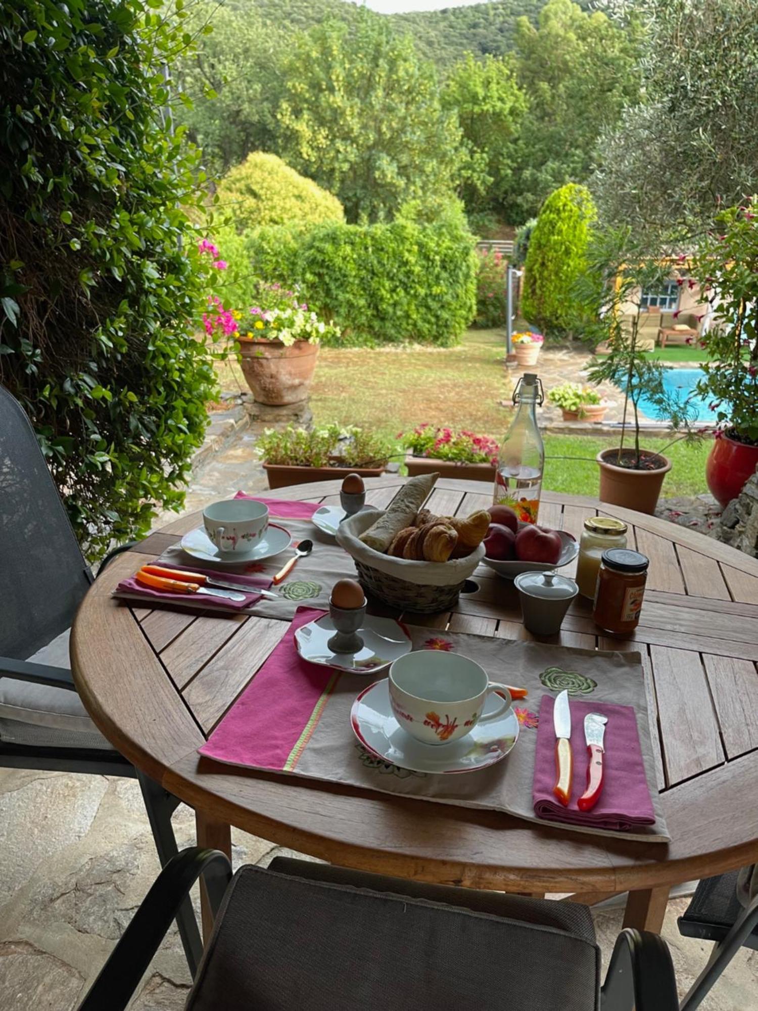 La Borreliane Bed & Breakfast Hyères Dış mekan fotoğraf